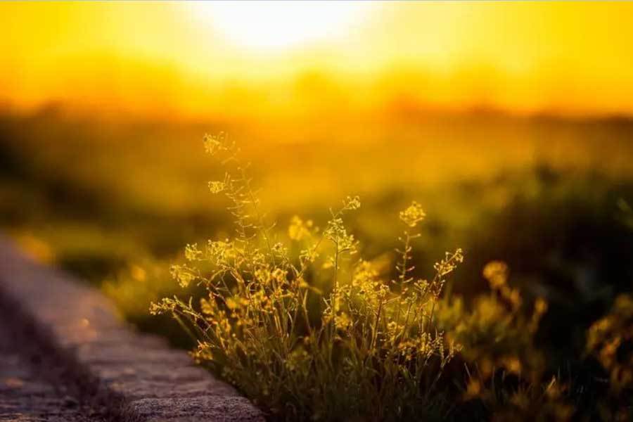 英雄联盟全球总决赛冠亚军决赛四川打响